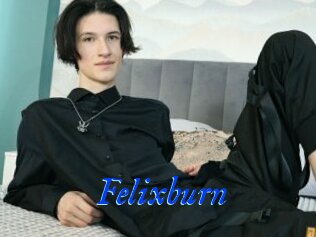 Felixburn
