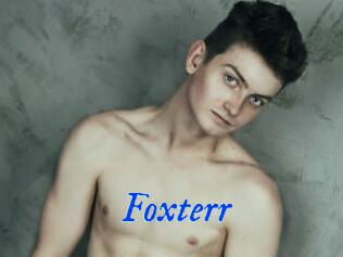 Foxterr