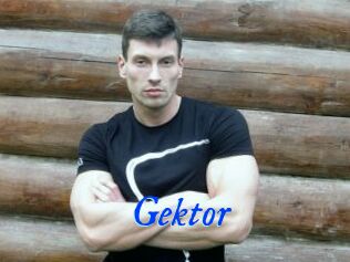 Gektor