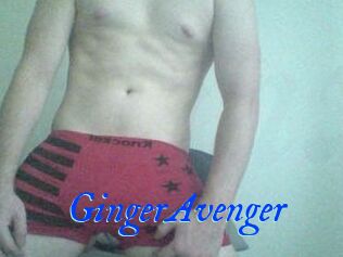 GingerAvenger
