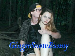 GingerSnowBunny