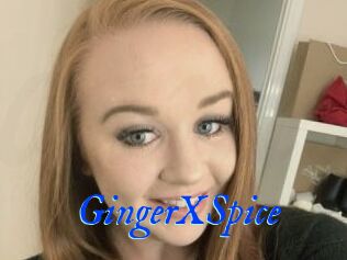 GingerXSpice
