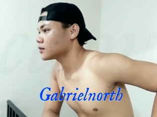 Gabrielnorth