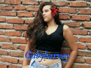 Gabyharvey