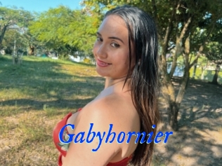 Gabyhornier