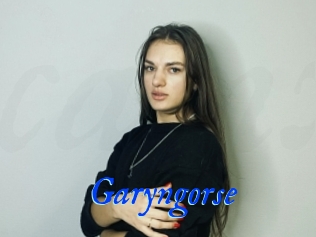 Garyngorse
