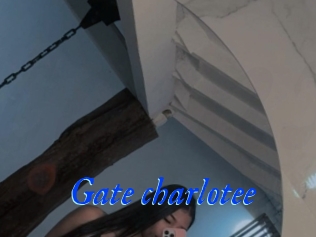 Gate_charlotee