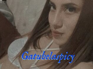 Gatubelaspicy