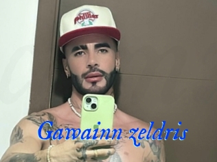Gawainn_zeldris