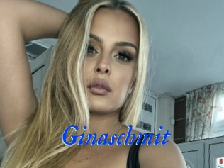 Ginaschmit