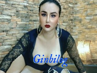 Ginbilog