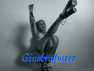 Ginebrafoster
