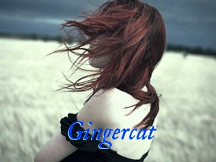 Gingercat