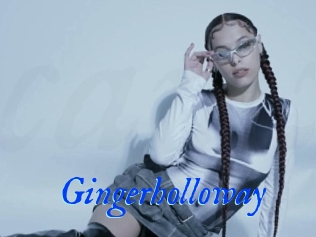 Gingerholloway