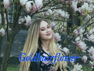 Goldhairflower