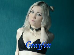 Grayfox