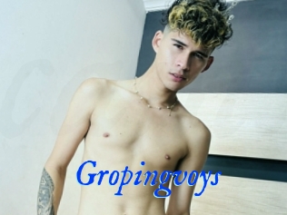 Gropingvoys