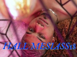 HALL_MESIASS18