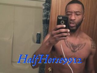 HalfHorse9912
