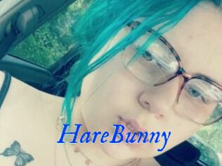HareBunny
