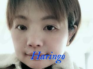 Haringo