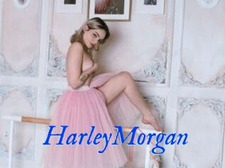 HarleyMorgan