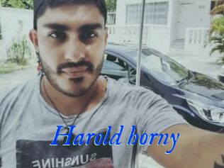 Harold_horny