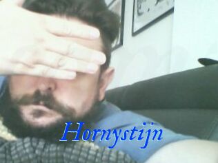 Hornystijn