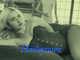 Haileyrosen