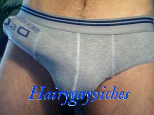 Hairygay9iches