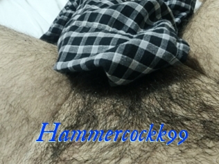 Hammercockk99