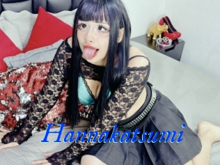 Hannakatsumi