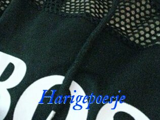 Harigepoesje