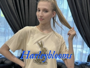 Harleyblooms