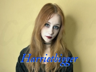Harrietbigger