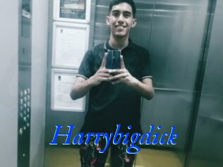 Harrybigdick