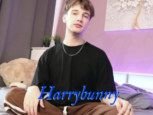Harrybunny