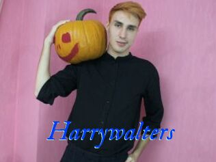 Harrywalters