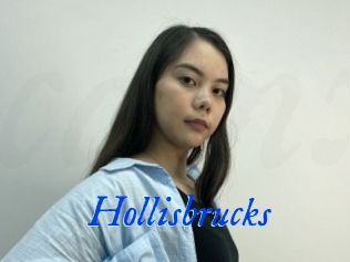 Hollisbrucks
