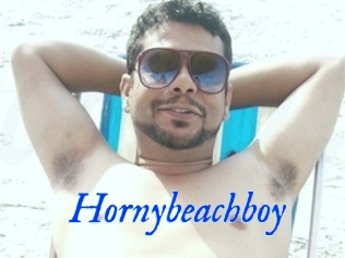 Hornybeachboy