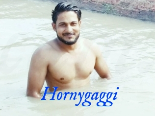 Hornygaggi