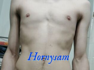 Hornysam
