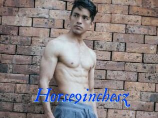 Horse9inchesz