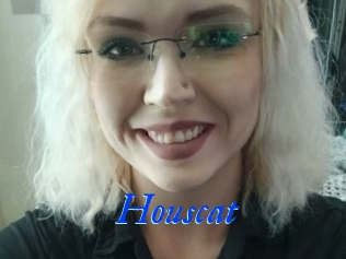 Houscat