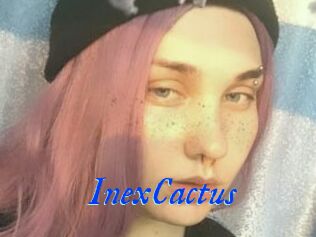 InexCactus