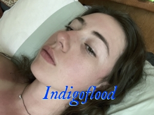 Indigoflood