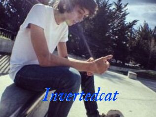 Invertedcat
