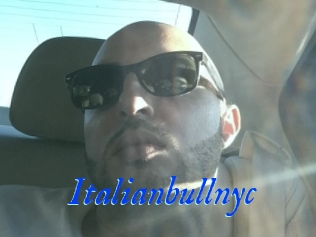 Italianbullnyc