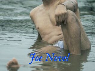 Joe_Novel