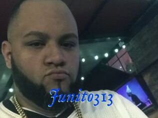 Junito313